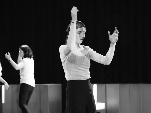 R.A.A.F. danst - Workshops