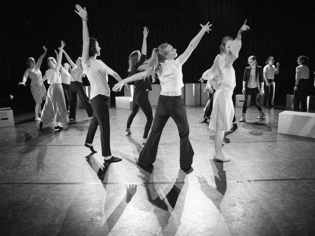 R.A.A.F. danst - Workshops